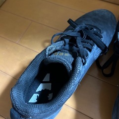 野球　スパイク　25cmの画像