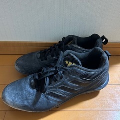 野球　スパイク　25cmの画像