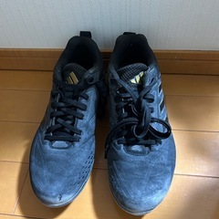 野球　スパイク　25cmの画像