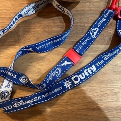 ダッフィーポップコーンケースの画像