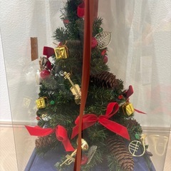 ミニクリスマスツリーの画像