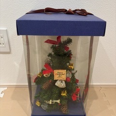 ミニクリスマスツリーの画像