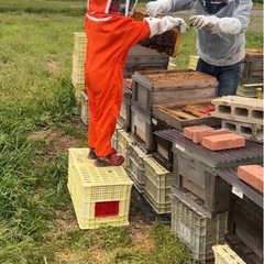 🍯【秋の百花蜜】果樹園のはちみつの画像