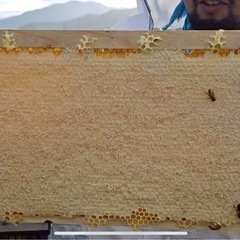 🍯【秋の百花蜜】果樹園のはちみつの画像