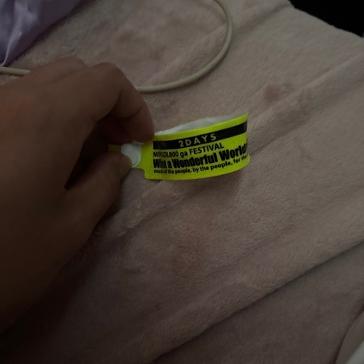 MONGOL80011/9チケット