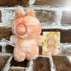 ラブブ　オレンジの画像