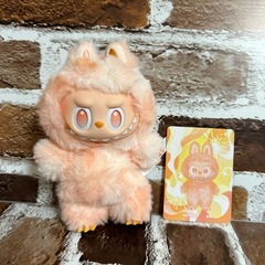 ラブブ　オレンジの画像