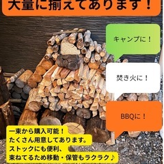 薪　針葉樹の画像