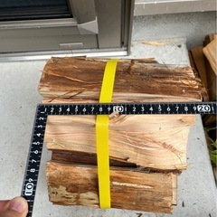 薪　針葉樹の画像