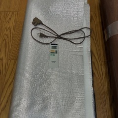 Panasonicフローリング調ホットカーペットカーペットの画像