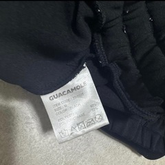 ガカモレ　水陸両用　スイムパンツ　水着　ショートパンツの画像