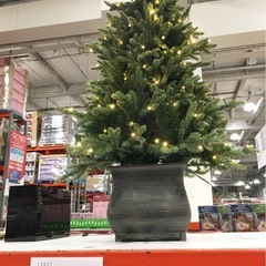 コストコ クリスマスツリーフルセットの画像