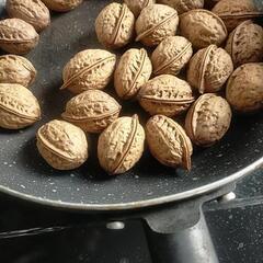 令和7年産　新鮮くるみです。10個100円です。工作や植木鉢のマルチングにも。。の画像