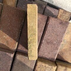 庭、花壇、インターロッキング用レンガ   約275枚の画像