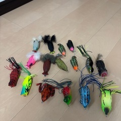 バス釣り　ダイワ　ブラックレーベル　タトゥーラ　フロッグタックルセットの画像