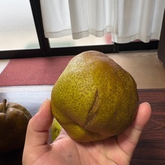 【4L以上】訳ありラフランス 約5kgの画像