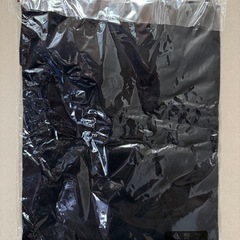 ②新品未開封　SHOEI  　Tシャツ　Lサイズの画像