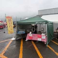 メダカイベント販売中⭐︎川島ふるさと祭⭐︎の画像