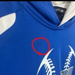 HOLLOWAY ソフトボール パーカーの画像