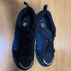 先芯入り安全靴（サイズ25.0）の画像