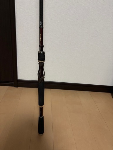 バス釣り　ダイワ　スティーズ　スカイパイレーツ