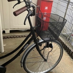 本日限定24インチ　自転車　の画像