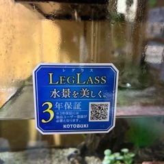 25センチ水槽※取引中※
の画像