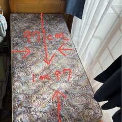 ミッキーベットの画像