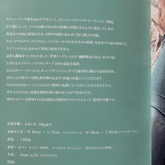 ドッカトット デラックス+ポッド　シルバーライニング　ジェルトロンベビー枕付き　の画像