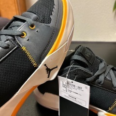 新品・未使用 ナイキ NIKE Jordan One Take 5 PF （BLACK/TAXI-ANTHRACITE-SAIL）の画像