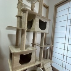 キャット　タワーの画像