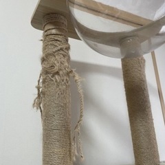 キャット　タワーの画像