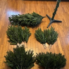 クリスマスツリーの画像