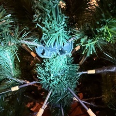 クリスマスツリーの画像