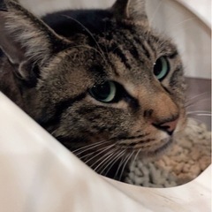 門司港駅から歩いて5分