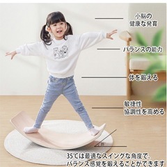 体幹バランスボードの画像