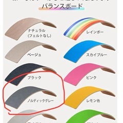 体幹バランスボードの画像