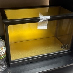 人形ケースの画像