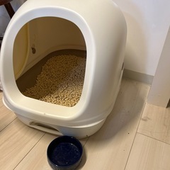 猫トイレの画像