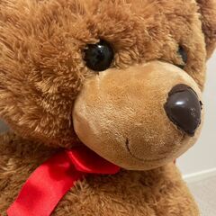 【お譲りいたします】テディベア　ヨークベニマルの画像