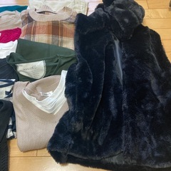 大きいサイズレディース　チュニック　Tシャツ　ジャケット　ベストほか全部で19枚の画像