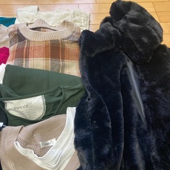 大きいサイズレディース　チュニック　Tシャツ　ジャケット　ベストほか全部で19枚の画像