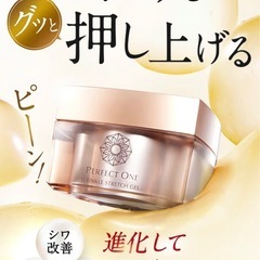 ネット限定商品パーフェクトワンゲルの画像