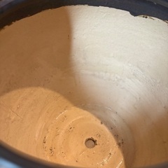 大きめな植木鉢の画像