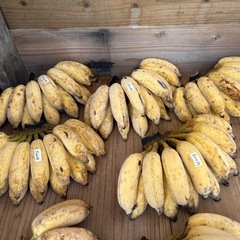 銀バナナ
の画像