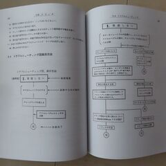 スバル360 てんとう虫の画像