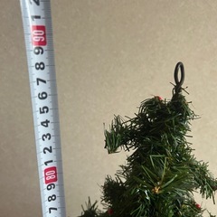 クリスマスツリー🎄の画像
