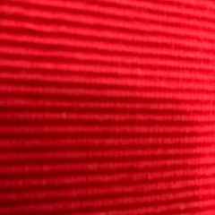 ラッチョウマットの画像