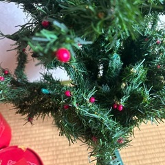 クリスマスツリー🎄の画像