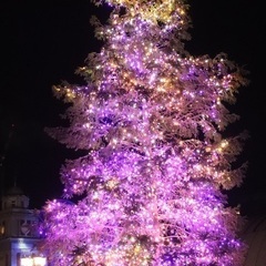 11/27(木)平日昼間にカラオケオフ会🎤💫